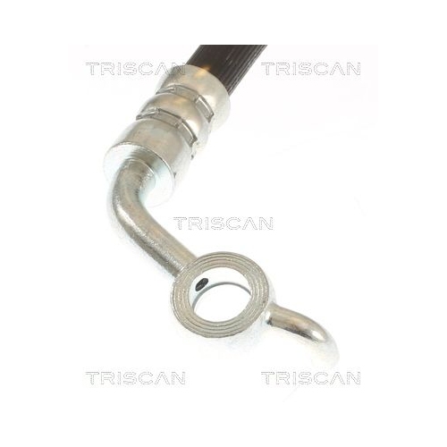TRISCAN Bremsschlauch 8150 13282