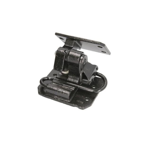 PACOL T&uuml;rscharnier MAN-DH-010L