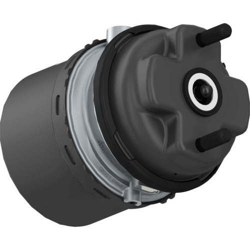 WABCO Kombibremszylinder 9254810320