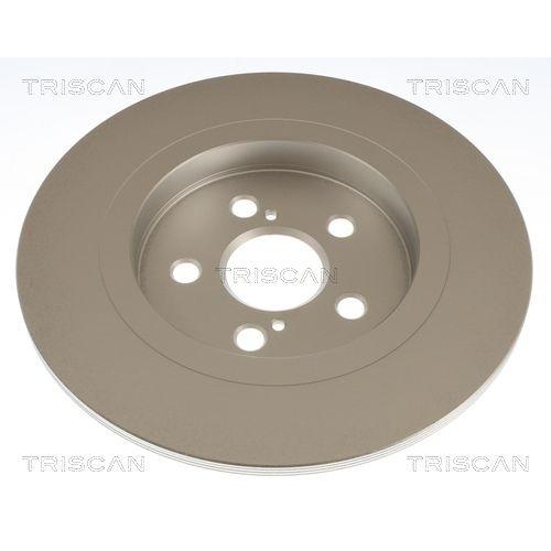 TRISCAN Bremsscheibe 8120 131076C