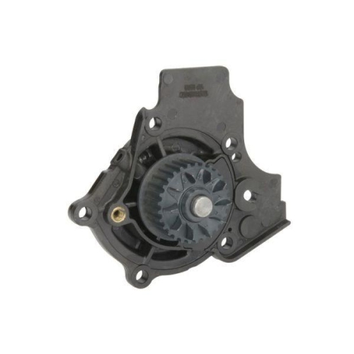 THERMOTEC Wasserpumpe, Motork&uuml;hlung D1W052TT