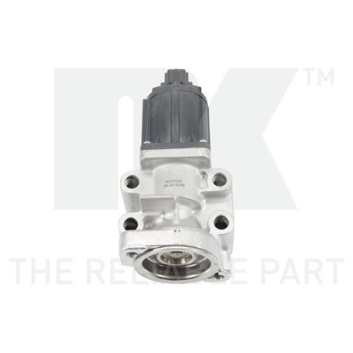NK AGR-Ventil 4530002