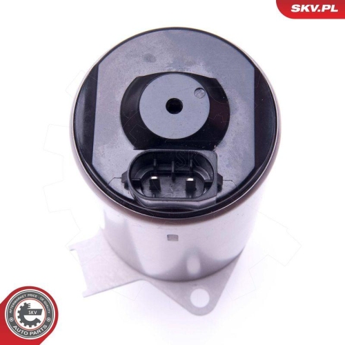 ESEN SKV Stellelement, Exzenterwelle (variabler Ventilhub) 96SKV087
