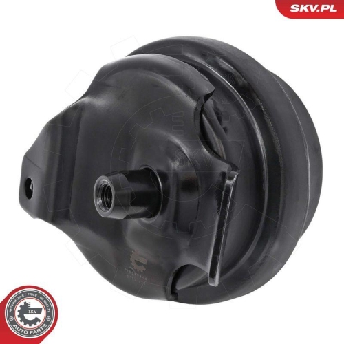 ESEN SKV Lagerung, Motor 75SKV114