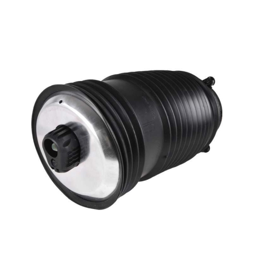 LUFTFEDER Miessler Automotive 11019-01-0225