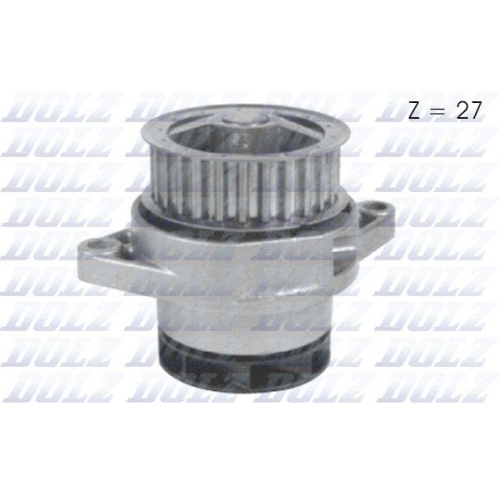 DOLZ Wasserpumpe, Motork&uuml;hlung