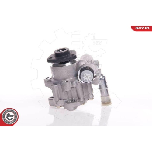 ESEN SKV Hydraulikpumpe, Lenkung