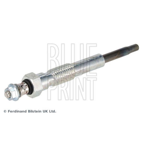 BLUE PRINT Glühkerze ADT31801