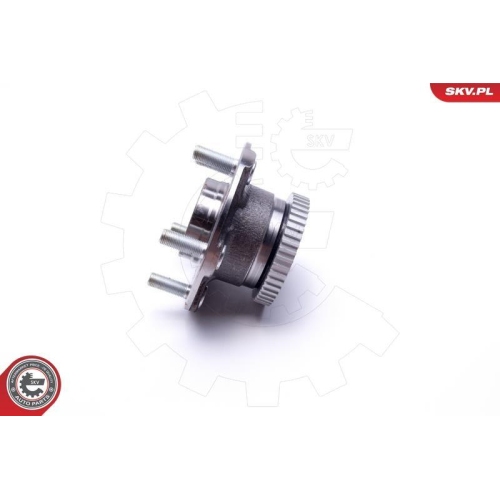 ESEN SKV Radlagersatz