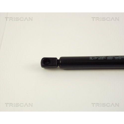 TRISCAN Gasfeder, Koffer-/Laderaum 8710 29211
