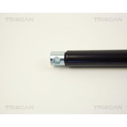 TRISCAN Gasfeder, Koffer-/Laderaum 8710 2312
