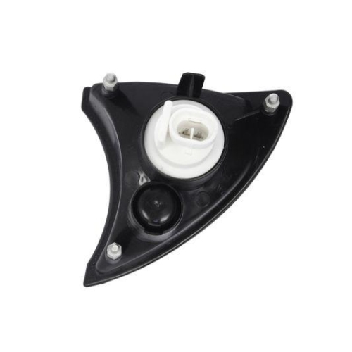 TRUCKLIGHT Blinkleuchte CL-IV006R