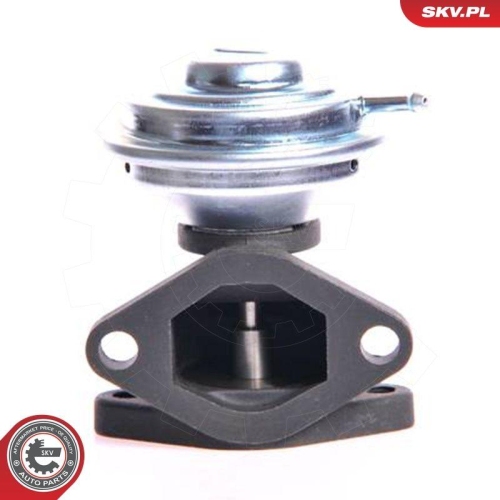 ESEN SKV AGR-Ventil 14SKV001
