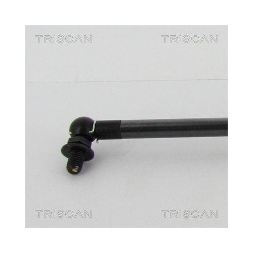 TRISCAN Gasfeder, Koffer-/Laderaum 8710 13290
