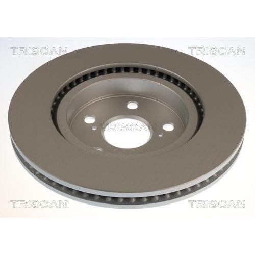 TRISCAN Bremsscheibe 8120 131074C