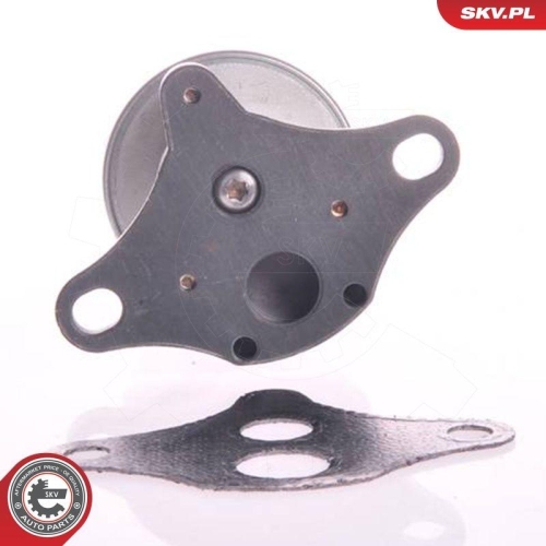 ESEN SKV AGR-Ventil 14SKV002