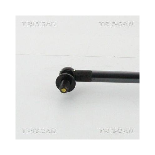 TRISCAN Gasfeder, Koffer-/Laderaum 8710 13291
