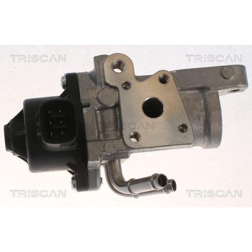 TRISCAN AGR-Ventil 8813 13070