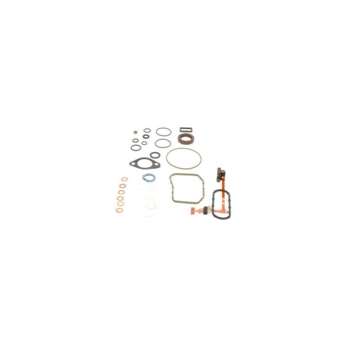 BOSCH Dichtungssatz, Einspritzpumpe F 00N 350 250