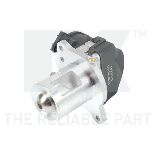 NK AGR-Ventil 4533013