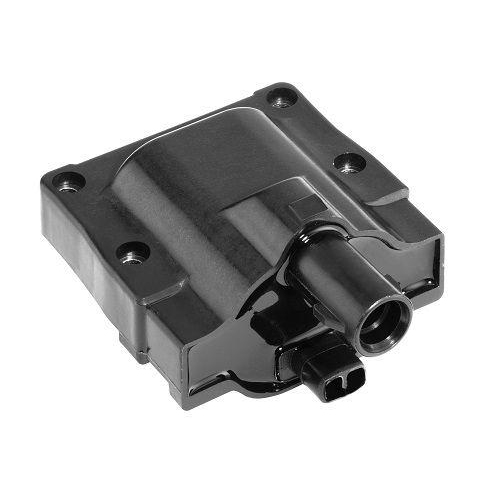 BorgWarner (BERU) Z&uuml;ndspule ZS445