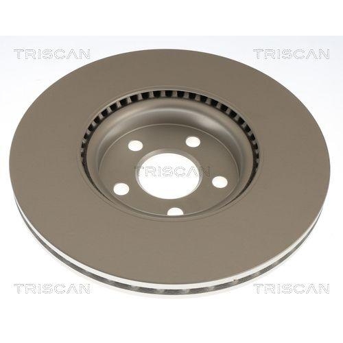 TRISCAN Bremsscheibe 8120 161002C