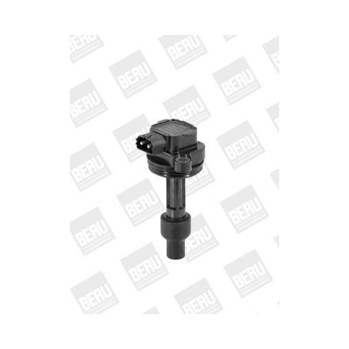 BorgWarner (BERU) Z&uuml;ndspule ZS446