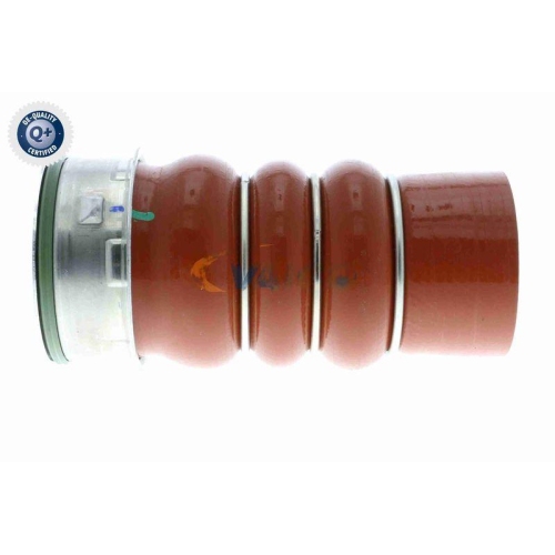 VAICO Ladeluftschlauch Q+, Erstausrüsterqualität