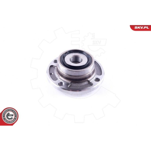 ESEN SKV Radlagersatz