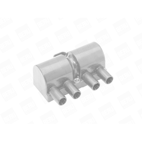 BorgWarner (BERU) Z&uuml;ndspule ZS447A
