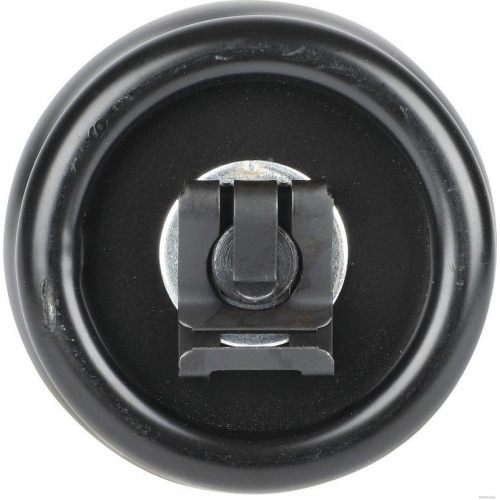 HERTH+BUSS BUSCHiNG Gasfeder BU075031001