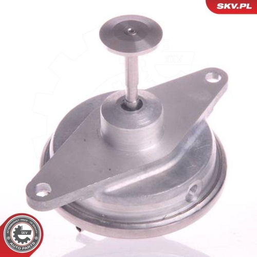 ESEN SKV AGR-Ventil 14SKV022