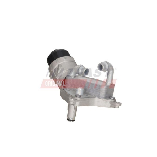 FAST &Ouml;lk&uuml;hler, Motor&ouml;l FT55406