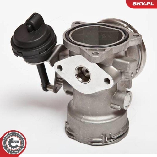 ESEN SKV AGR-Ventil 14SKV025