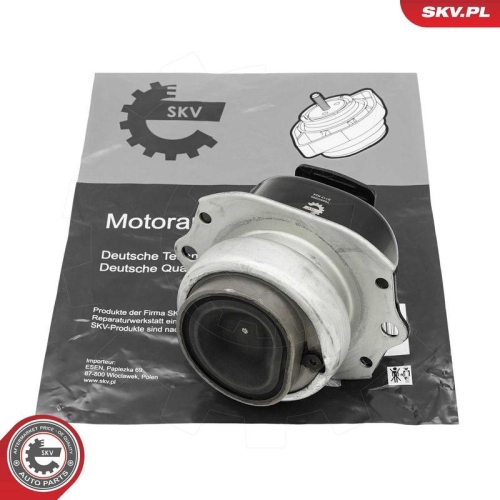 ESEN SKV Lagerung, Motor 75SKV255