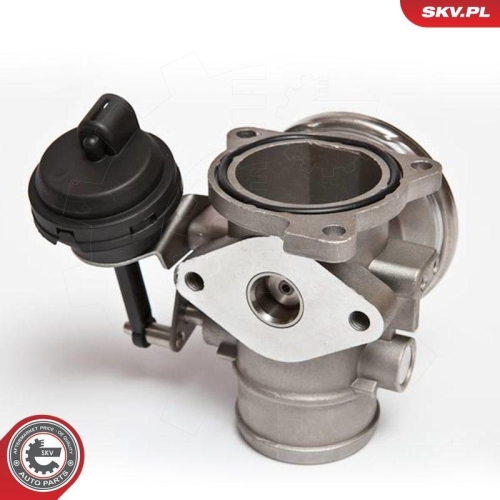 ESEN SKV AGR-Ventil 14SKV026