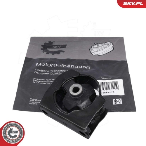 ESEN SKV Lagerung, Motor 75SKV262