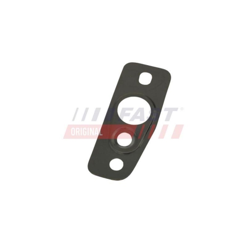FAST Dichtung, &Ouml;lauslass (Lader) FT48807