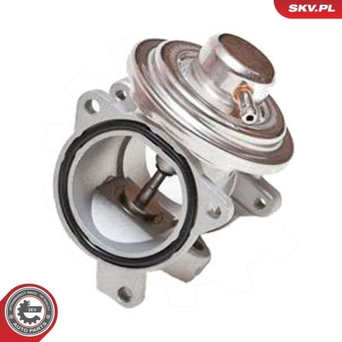 ESEN SKV AGR-Ventil 14SKV034