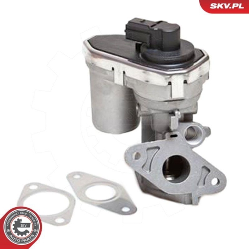 ESEN SKV AGR-Ventil 14SKV038