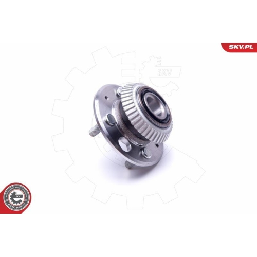 ESEN SKV Radlagersatz