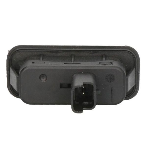 BLIC Schalter, Heckklappe 6010-09-047401C