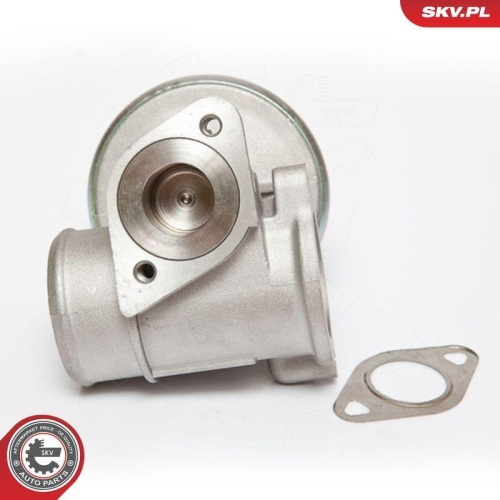 ESEN SKV AGR-Ventil 14SKV061