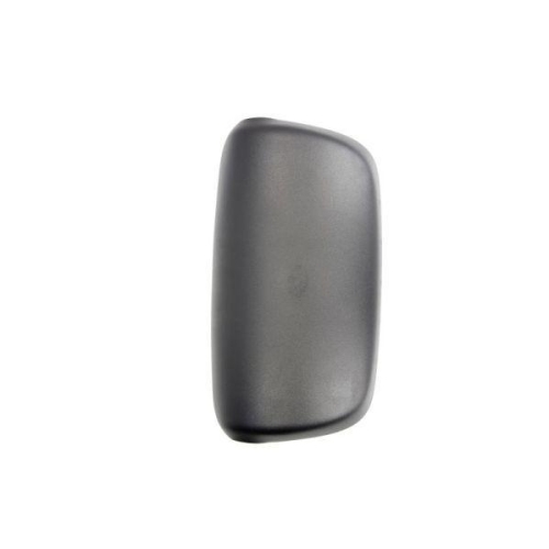 PACOL Au&szlig;enspiegel DAF-MR-019