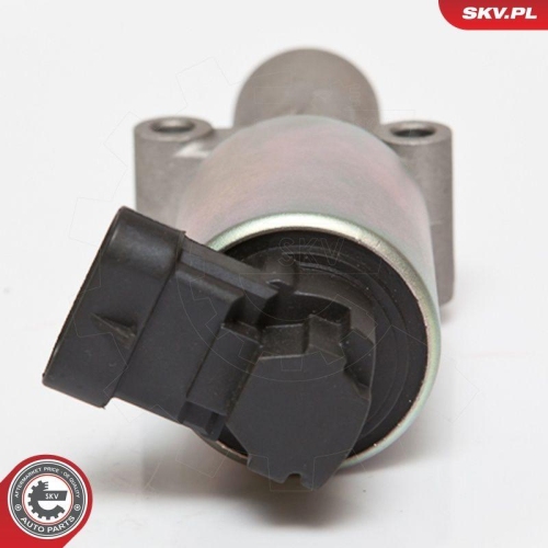 ESEN SKV AGR-Ventil 14SKV065