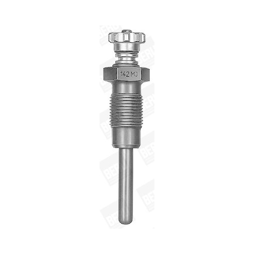 BorgWarner (BERU) Gl&uuml;hkerze GV119