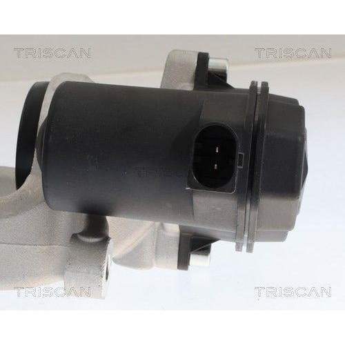 TRISCAN Bremssattel 8175 10252