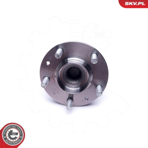 ESEN SKV Radlagersatz 29SKV379