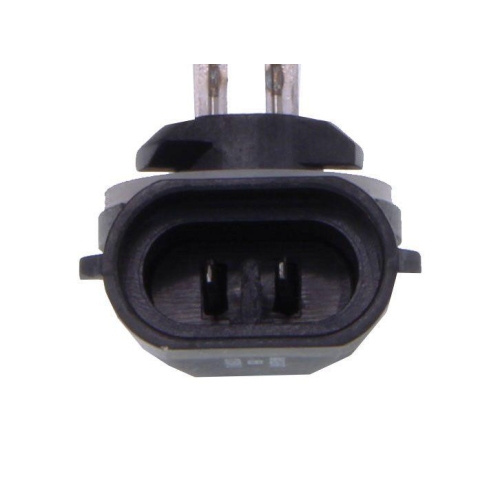 MAXGEAR Glühlampe, Hauptscheinwerfer 78-0137