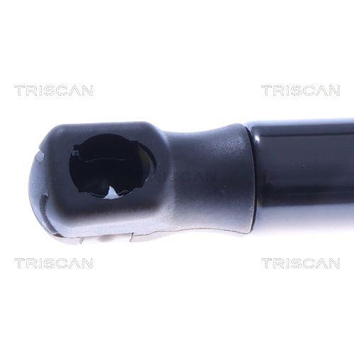 TRISCAN Gasfeder, Koffer-/Laderaum 8710 43310